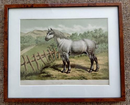 L'acclimatation Illustrée - Le Cheval Percheron Lithograph, Huis en Inrichting, Woonaccessoires | Schilderijen, Tekeningen en Foto's