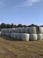 Gewassen winterwortels voerpeen Grote balen voordroog hooi, Dieren en Toebehoren, Dierenvoeding, Ophalen of Verzenden, Vee