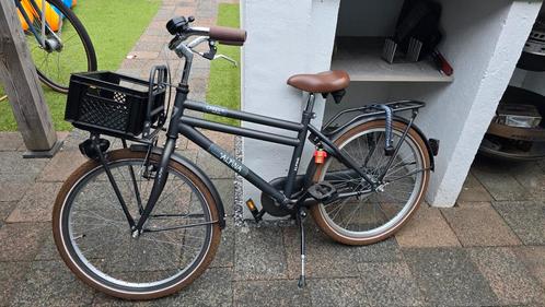 Alpina Cargo Transportfiets - Gebruikt, Fietsen en Brommers, Fietsen | Dames | Damesfietsen, Gebruikt, Overige merken, Versnellingen