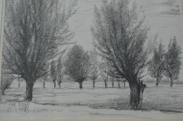 10 x Hendrik Voskuijl (1893 - 1980) potloodtek. 'bomen' (1) beschikbaar voor biedingen