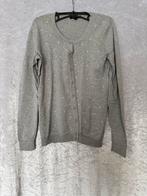 Tommy Hilfiger Grijs Set - Maat S, Kleding | Dames, Truien en Vesten, Ophalen of Verzenden, Zo goed als nieuw, Maat 36 (S), Grijs