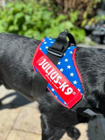 Julius K9 power tuig - maat 2 (XL) beschikbaar voor biedingen