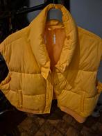 Oranje Bodywarmer - Maat 44 - Koningsdag!, Kleding | Dames, Ophalen of Verzenden, Zo goed als nieuw, Maat 42/44 (L), Oranje