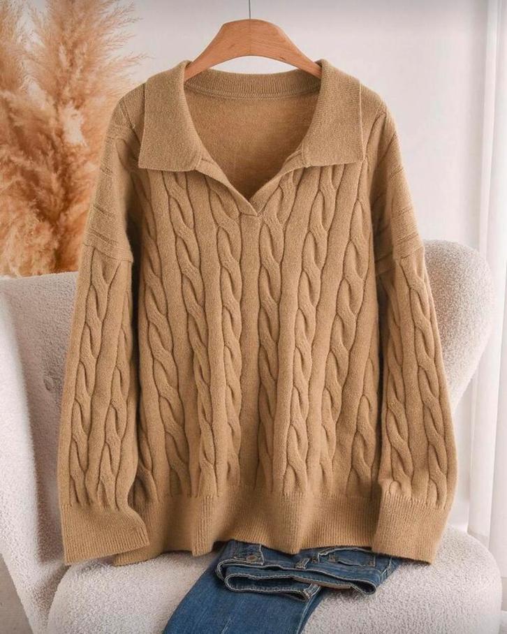 Trui Elly (44-52), Kleding | Dames, Grote Maten, Nieuw, Trui of Vest, Bruin, Verzenden