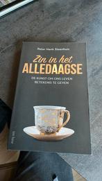Peter H Steenhuis. Zin in het alledaagse., Ophalen of Verzenden, Zo goed als nieuw
