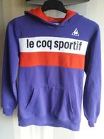 Sweater met capuchon, Ophalen of Verzenden, Zo goed als nieuw, Jongen of Meisje, Overige typen