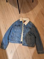 Levi's sherpa trucker maat m, Kleding | Dames, Jassen | Zomer, Nieuw, Levi's, Blauw, Maat 38/40 (M)