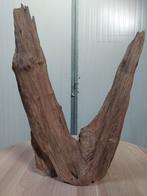 Teakhouten wortel, Ophalen