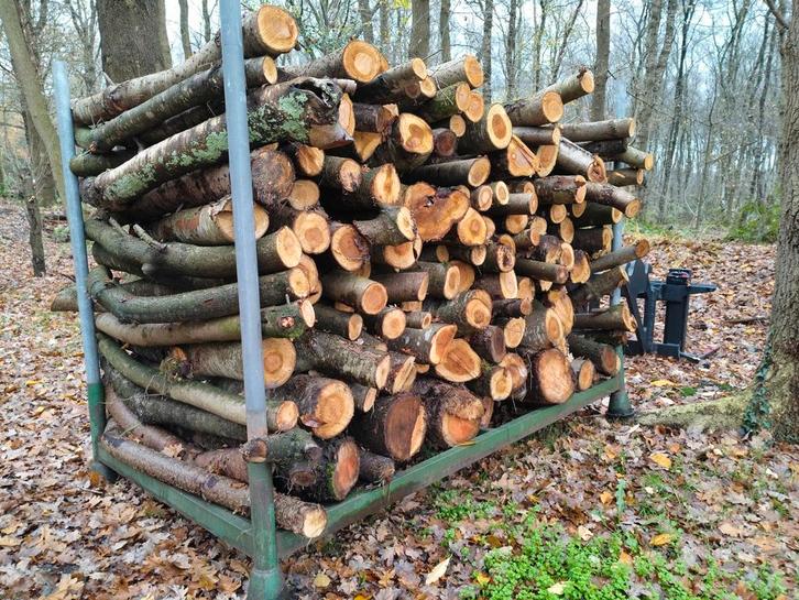 Brandhout Eik & Vogelkers, Tuin en Terras, Haardhout, Blokken, Eikenhout, 6 m³ of meer, Ophalen of Verzenden
