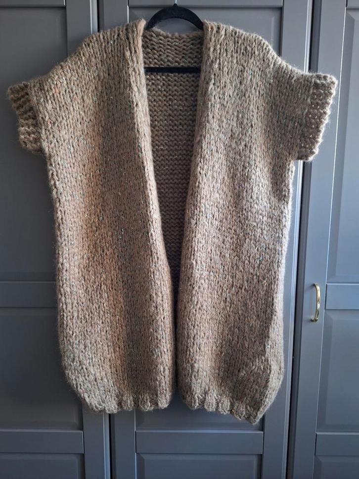 Nieuw handgemaakt mohair vest, grote maat., Kleding | Dames, Truien en Vesten, Nieuw, Maat 46/48 (XL) of groter, Beige, Ophalen of Verzenden