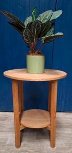 Houten plantentafel, Ophalen, Gebruikt