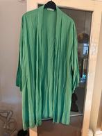 Groene Kimono-Stijl Jas past tot maat 54, Kleding | Dames, Made in Italy, Ophalen of Verzenden, Zo goed als nieuw, Jasje of Colbert