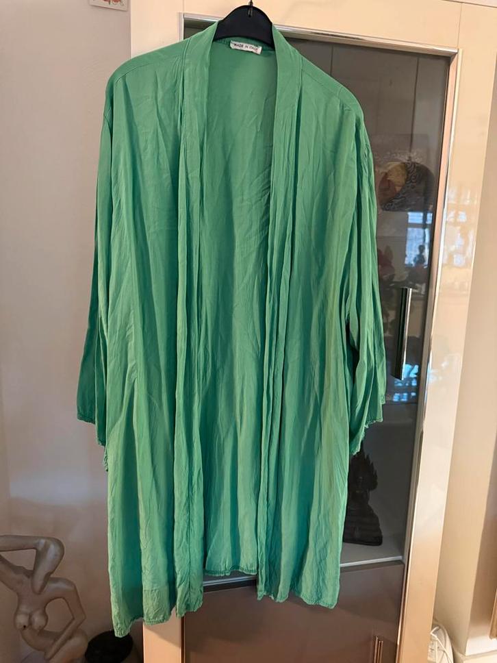 Groene Kimono-Stijl Jas past tot maat 54, Kleding | Dames, Grote Maten, Zo goed als nieuw, Jasje of Colbert, Groen, Ophalen of Verzenden