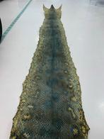 Anaconda Huid - 5,5 Meter, Verzamelen, Dierenverzamelingen, Ophalen of Verzenden, Gebruikt, Reptiel of Amfibie, Overige typen