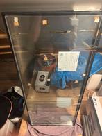 Thermopane glas voor raam, 2 stuks, Ophalen, Zo goed als nieuw, Minder dan 80 cm, Gevelraam of Ruit