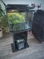 Superfish aqua 60 plus onderstel, Dieren en Toebehoren, Ophalen, Gebruikt, Leeg aquarium