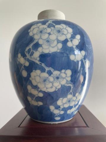 Antieke Chinese prunus blossom theebus kangxi  beschikbaar voor biedingen