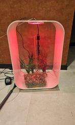 Biorb Life 45 aquarium met leuke accesoires!, Ophalen of Verzenden, Zo goed als nieuw, Leeg aquarium
