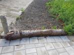 Boom voor houten, Doe-het-zelf en Verbouw, Hout en Planken, Ophalen of Verzenden, Zo goed als nieuw, Pallet, Minder dan 200 cm