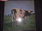 Pink Floyd, Verzenden, Zo goed als nieuw, 12 inch, Poprock