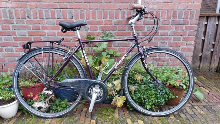 toerfiets giant expedition 53, Fietsen en Brommers, Fietsen | Heren | Herenfietsen, Gebruikt, Giant, 53 tot 57 cm, Versnellingen