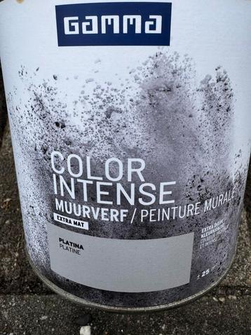 Gamma color intense muurverf beschikbaar voor biedingen