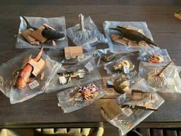 Collecta prehistorische zeedieren beschikbaar voor biedingen