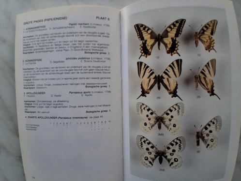 Dagvlinders van de Benelux door Irma Wynhoff e.a., Boeken, Natuur, Zo goed als nieuw, Ophalen of Verzenden