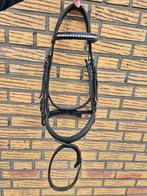 Kieffer Trens hoofdstel Softtech Line, full, Dieren en Toebehoren, Paarden en Pony's | Hoofdstellen en Tuigage, Ophalen, Zo goed als nieuw