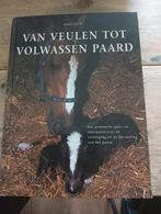 Van veulen tot paard, Boeken, Ophalen of Verzenden, Zo goed als nieuw, Paarden of Pony's