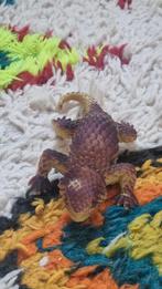 Speelgoed hagedis, Ophalen of Verzenden, Gebruikt