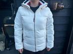 Tommy Hilfiger, Wit, Maat 42/44 (L), Ophalen of Verzenden, Zo goed als nieuw