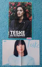 Teske de Schepper posters, Ophalen of Verzenden, Nieuw, A1 t/m A3, Muziek