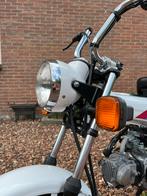Honda dax, Fietsen en Brommers, Brommers | Honda, Ophalen, Overige modellen, 49 cc, Zo goed als nieuw