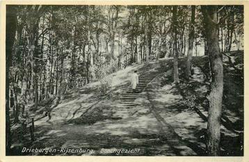 (388-343-015) Driebergen-Rijsenburg Boschgezicht beschikbaar voor biedingen