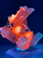 Calciet cluster met felle UV-fluorescentie  – Inner Mongolië, Ophalen of Verzenden, Mineraal