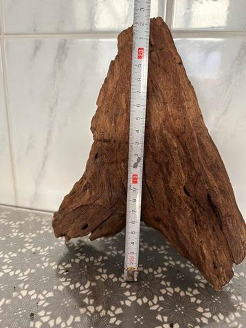 Groot stuk kien hout aquarium beschikbaar voor biedingen