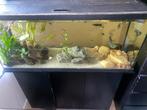 Juwel rio 180 (zonder verlichting), Dieren en Toebehoren, Ophalen, Gebruikt, Gevuld zoetwateraquarium