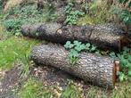 Diverse haardhout, Tuin en Terras, Haardhout, Minder dan 3 m³, Ophalen, Overige houtsoorten, Stammen