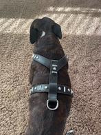 Leer harnassen, Ophalen, Zo goed als nieuw