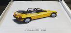 Peugeot 205 cabrio XXXL poster ca.120cm x 78cm, Ophalen of Verzenden