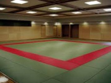 Judomatten 80 x 200cm beschikbaar voor biedingen