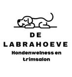 Doodle Wellness trimsalon, Trimmen of Verzorging
