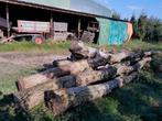 Boomstam, Doe-het-zelf en Verbouw, Hout en Planken, Ophalen, Overige houtsoorten