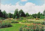 Rosarium winschoten gelopen ansichtkaart ( 589 ), Verzamelen, Ansichtkaarten | Nederland, Ophalen of Verzenden, Gelopen