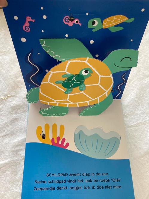 💦Nieuw!Prachtig Pop-Up boek (voor baby/peuter/kleuter), Boeken, Kinderboeken | Baby's en Peuters, Nieuw, Ophalen of Verzenden