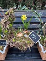 Decoraties voor binnen en buiten, Ophalen, Overige soorten, Volle zon