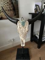 Skull / Gegraveerde buffelschedel, Ophalen, Zo goed als nieuw