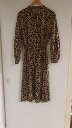 jurk, Kleding | Dames, Grote Maten, Ophalen of Verzenden, Zo goed als nieuw, Overige kleuren, Jurk