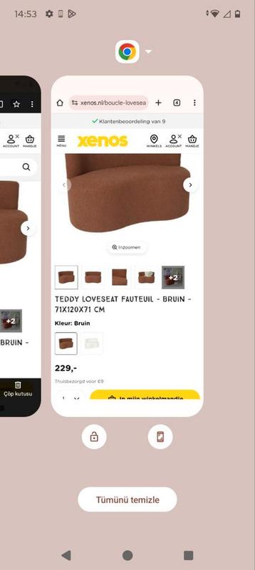 2x Teddy Loveseat Fauteuil  beschikbaar voor biedingen
